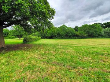 Trees around the site