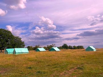 Reclaimed scout tents for an authentic camping experience - 6 available with maximum 4 people