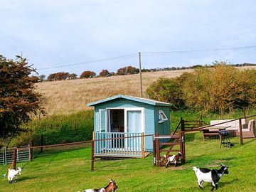 The cabin and its own outdoor area