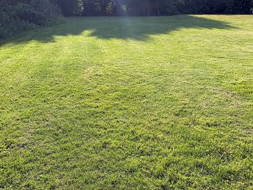 Pitches under the shade of trees