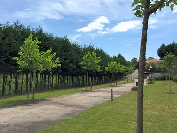 Flat premium plots and shade
