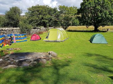 Grass pitches