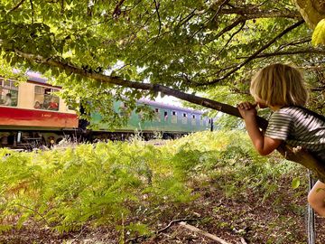 Child watching the steam train