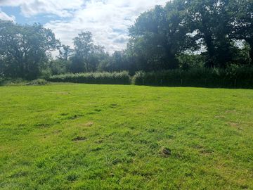 Camping field