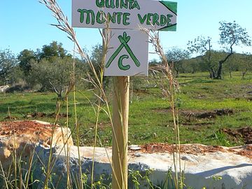 Sign near the main road