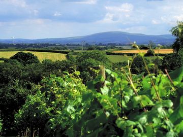 Spectacular views from the campsite