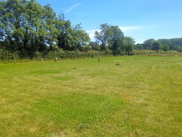 Grass pitches