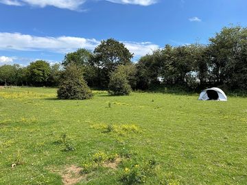 Tent in camping field