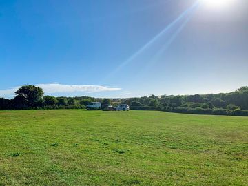 Grass pitches