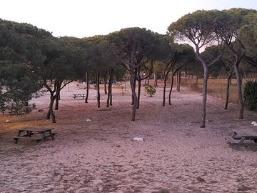 Shaded pitches