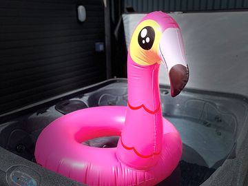 Pink flamingo in the hot tub