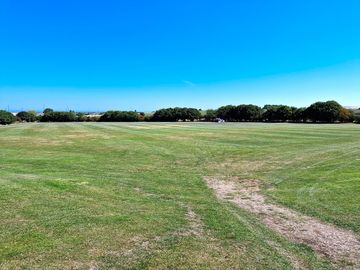 View of the site