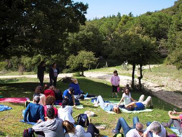 Relax rurale... un tranquillo ristoro sotto gli alberi, in un bosco quasi accanto all'azienda
