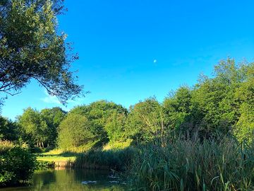 Around the lake
