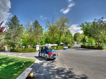 Golf carts take guests to the pitches