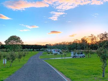 Visitor image of the peaceful site