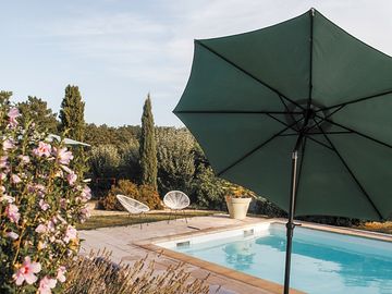 Swimming pool surrounded by greenery