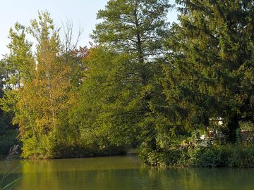 Peaceful natural setting