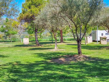 Grass pitches under the trees