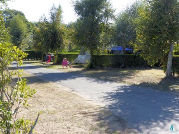 Calm pitches surrounded by trees