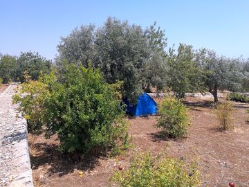 One of the pitches for tents