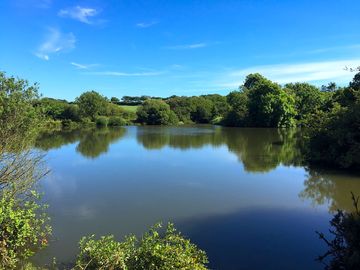 1.5 acre lake