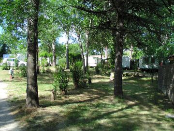 Camping pitches