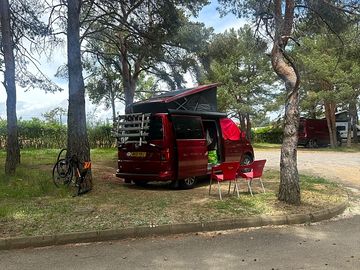 My van on one of the smaller pitches under the trees.