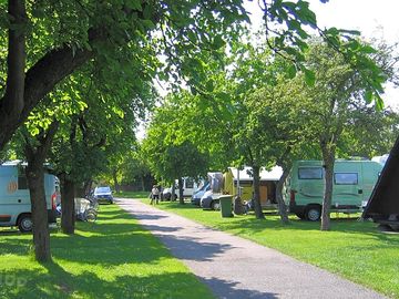 Path through the site