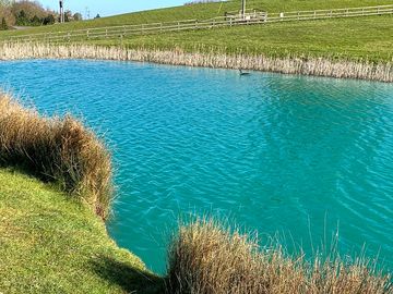 Carp lake on site