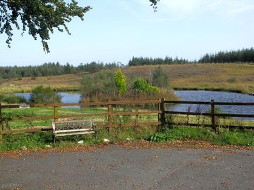 View of the lake from the driveway