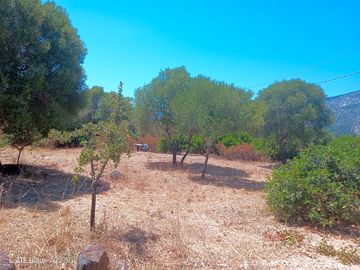 Terreno autonomo in campagna e vicino al mare, sardegna, per camper o roulotte, 20 euro al giorno
