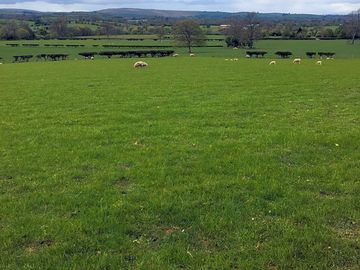 Some of the fields surrounding the campsite