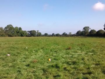 The pitching field