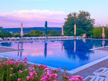 Swimming pool and flower garden at dusk