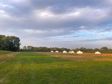 The pitches