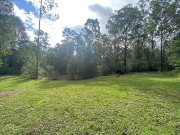 Dam-side hollow campsite