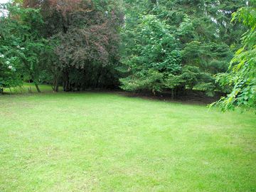 The site