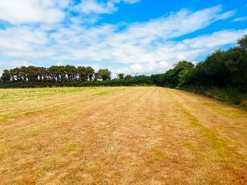 Grassy pitches