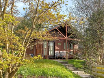 Cosy lodge surrounded by trees and plants