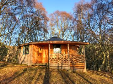 Larch exterior