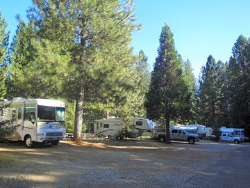 Spacious pitches