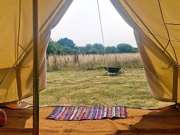 View from the tent