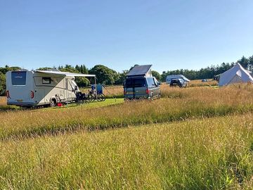 Grass pitches