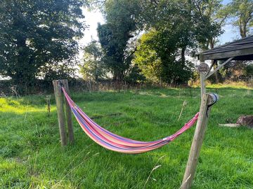 Meadow with shelter