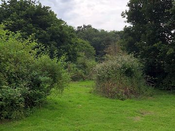 Out in nature