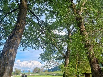 View from the site