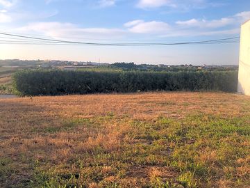 Camping field
