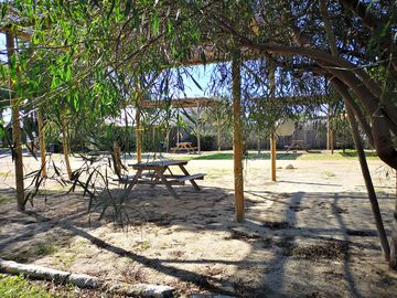 Pitches and picnic tables