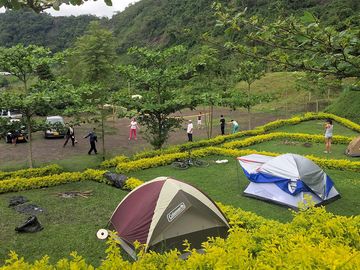 Camping pitches